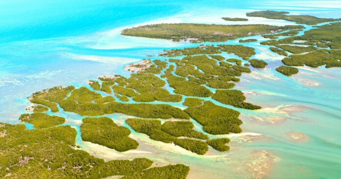 Florida’s Upper Keys